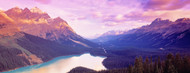 Standard Photo Board: Peyto Lake Alberta Canada - AMER