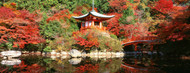 Standard Photo Board: Daigo Temple Kyoto, Japan - AMER