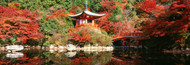 Extra Large Photo Board: Daigo Temple Kyoto, Japan - AMER