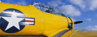 Standard Photo Board: Model G 1942 Flight Trainer - AMER