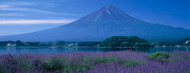 Standard Photo Board: Mount Fuji Japan - AMER