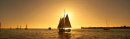 Extra Large Photo Board: Sailboat Key West - AMER - INDY