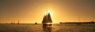 Standard Photo Board: Sailboat Key West - AMER - INDY