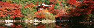 Extra Large Photo Board: Daigo Temple Kyoto, Japan - AMER - INDY