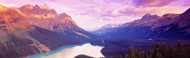 Extra Large Photo Board: Peyto Lake Alberta Canada - AMER - INDY