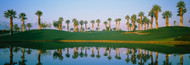 Standard Photo Board: Golf Course Marriott Palms AZ - AMER - INDY