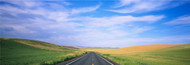 Extra Large Photo Board: Road Through Palouse Country - AMER