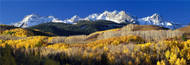 Extra Large Photo Board: Rocky Mountains Aspens in Autumn - AMER