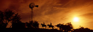 Extra Large Photo Board: Cowboys at Sunset - AMER