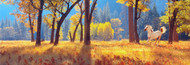 Extra Large Photo Board: Horse in Autumn Forest - AMER