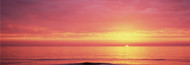 Extra Large Photo Board: Sunset Over The Sea Venice Beach - AMER