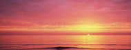 Standard Photo Board: Sunset Over The Sea Venice Beach- AMER