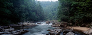 Standard Photo Board: Chattooga River Flowing Through Forest - AMER