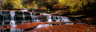 Extra Large Photo Board: Waterfall in North Creek Zion National Park - AMER
