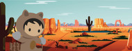 Standard Photo Board: Salesforce Backdrop Desert 1 - AMER