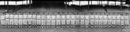 Washington Senators Baseball Team of 1921