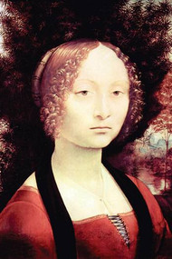 Portrait of a Dame by Da Vinci