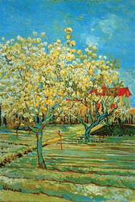 Orchard with Cypress by Vincent Van Gogh