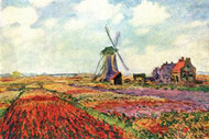 Tulips of Holland by Claude Monet