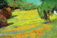 Sunny Lawn by Vincent Van Gogh