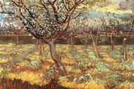 Apricot Trees in Blossom by Van Gogh