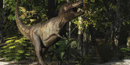 A Mighty Tyrannosaurus Rex Hunts For Prey In A Dense Jungle