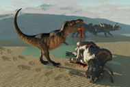 Tyrannosaurus Rex Eats The Flesh Of A Dead Triceratops