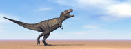 Tyrannosaurus Rex Dinosaur Standing In The Desert