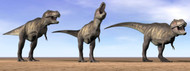 Three Tyrannosaurus Rex Dinosaurs Standing In The Desert