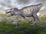 Tyrannosaurus Rex Mother And Offspring