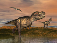 Tyrannosaurus Rex Dinosaurs With Pteranodon Bird Flying Above