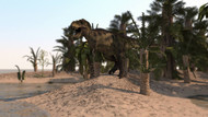 Tyrannosaurus Rex Hunting In A Desert Environment