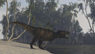 Tyrannosaurus Rex Hunting On The Edge Of Shoreline
