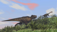 Tyrannosaurus Rex Hunting A Gigantoraptor In An Open Field