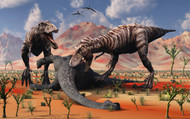 Two T Rex Dinosaurs Feed On The Remains Of A Dead Sauropod