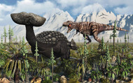 A T Rex Confronts An Ankylosaurus Dinosaur II