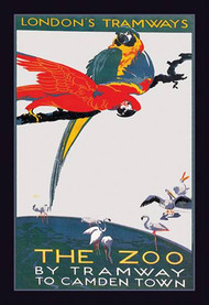 The London Zoo: The Macaw