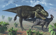 Tyrannosaurus Rex Hunting A Lone Parasaurolophus Duckbill Dinosaur