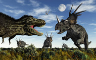 Styracosaurus Dinosaurs Confront A Tyrannosaurus Rex