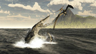 A Tylosaurus Jumps Out Of The Water, Attacking A Pteranodon