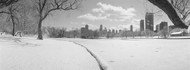 Lincoln Park Winter BW