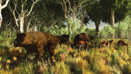 Diprotodon On The Edge Of A Eucalyptus Forest With Some Early Kangaroos