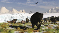 Woolly Mammoths And Woolly Rhinos In A Prehistoric Landscape