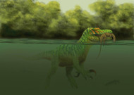 A Baryonyx Escapes Swimming From A Brawl With A Hypsilophodon In His Mouth
