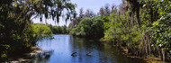 Hillsborough River Lettuce Lake Park