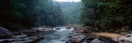 Chattooga River Flowing Through Forest