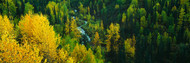Aerial View of Stream in Autumn Forest