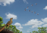 An Archaeopteryx Observing A Flock Of Migrating Pterosaurs
