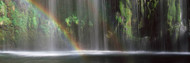 Rainbow Waterfall in Forest