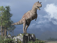 Carnotaurus On Rock Looking Over A Valley